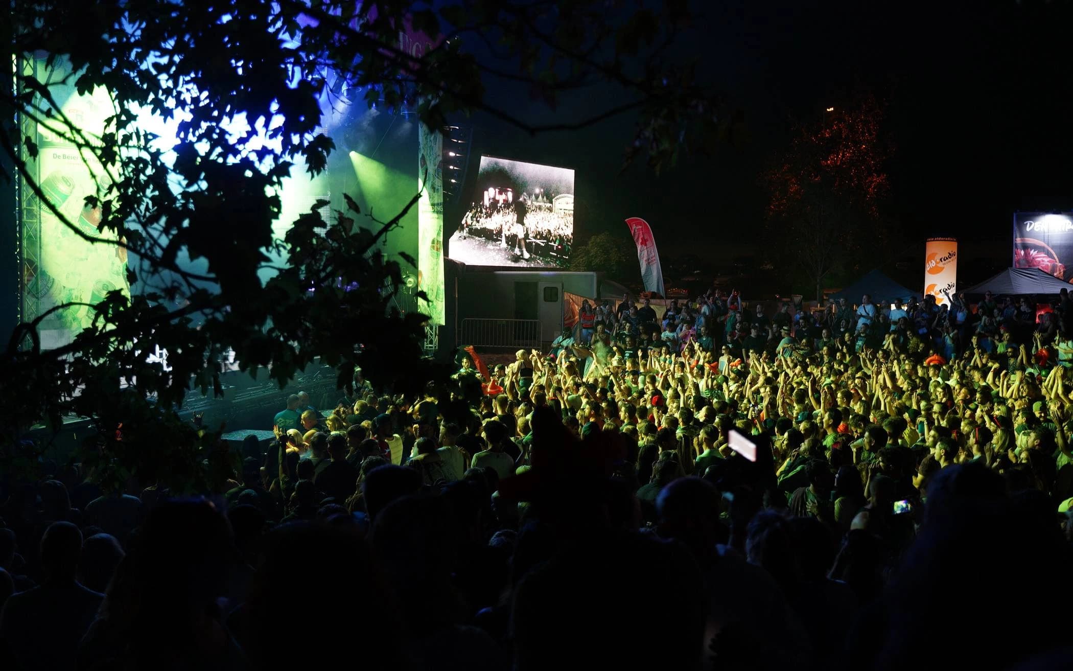 e-Lake Festival