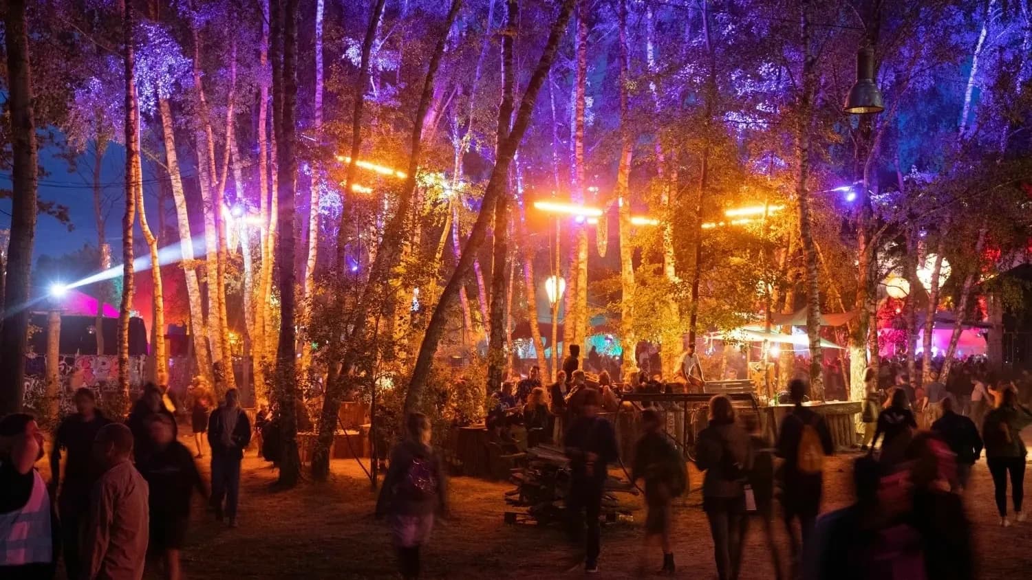 Fusion Festival